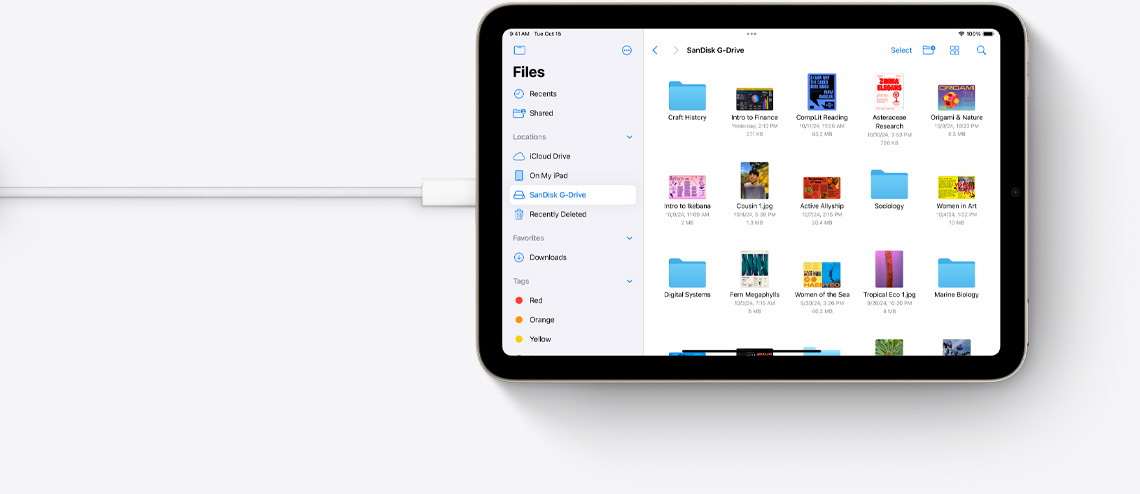 Bestanden op een iPad mini in horizontale stand die op een USB-C-kabel aangesloten is.